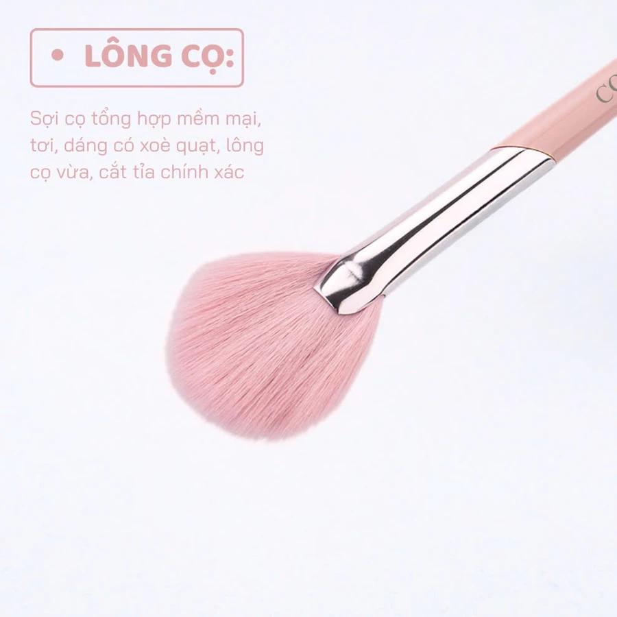 Cọ trang điểm COLOURPOP hình quạt tròn Cọ highlight tán phấn lông cọ mềm mại Fan Highlight C207