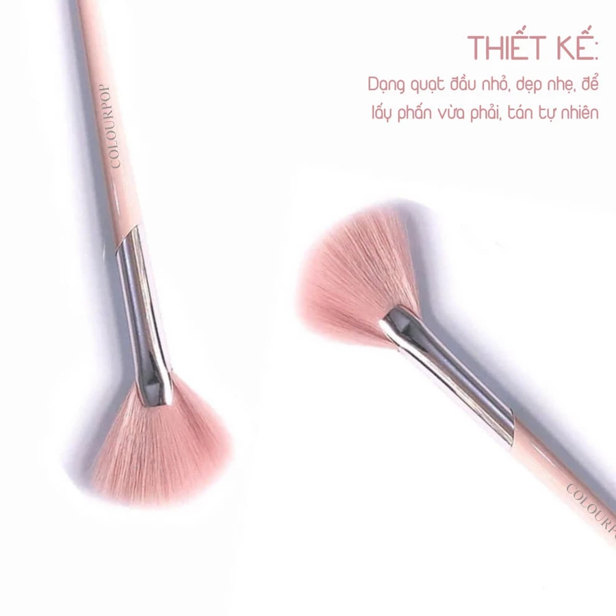 Cọ Highlight Dạng Fan Xéo Cọ bắt sáng tán má hồng hình quạt chuyên nghiệp COLOURPOP C211