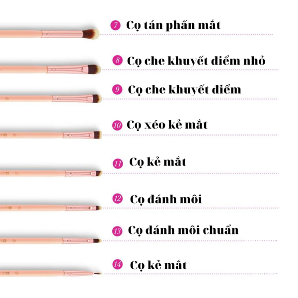 Bo-co-bh-cosmetics-chic-14-piece-brush-set-with-cosmetic-case 05