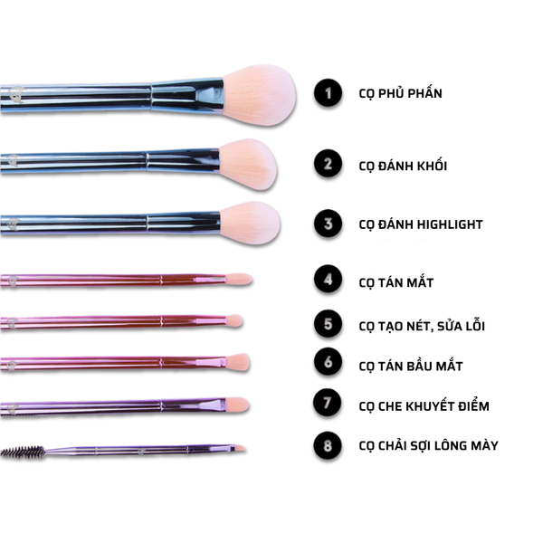 Bo-co-bh-cosmetics-the-total-package-8-piece-brush-set 04